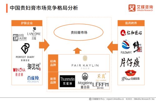 2020-2021年中國貴婦膏市場品牌分析及用戶調(diào)研報告